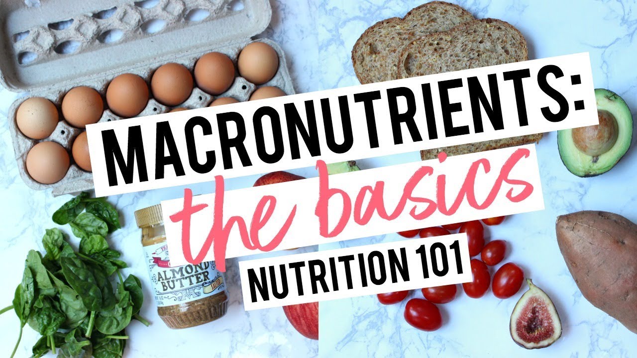 list of foods and their macronutrients